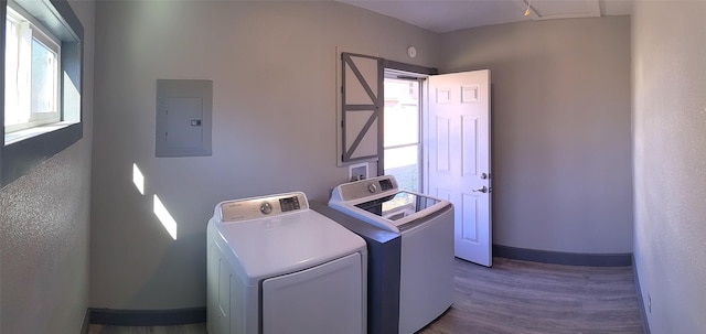 clothes washing area with hardwood / wood-style floors, washing machine and clothes dryer, and electric panel