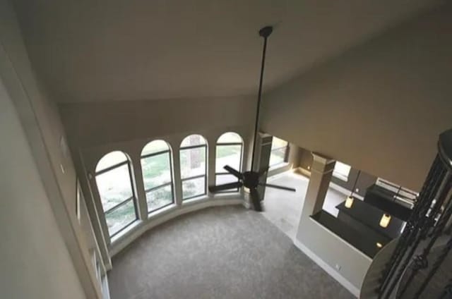 interior space featuring high vaulted ceiling and carpet flooring