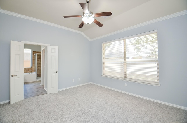 carpeted spare room featuring lofted ceiling, ceiling fan, and crown molding