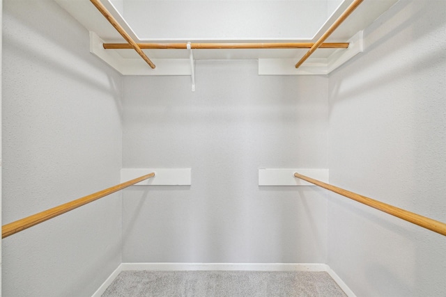 spacious closet featuring carpet flooring