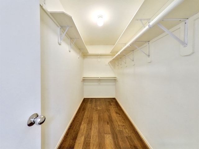 walk in closet with hardwood / wood-style flooring