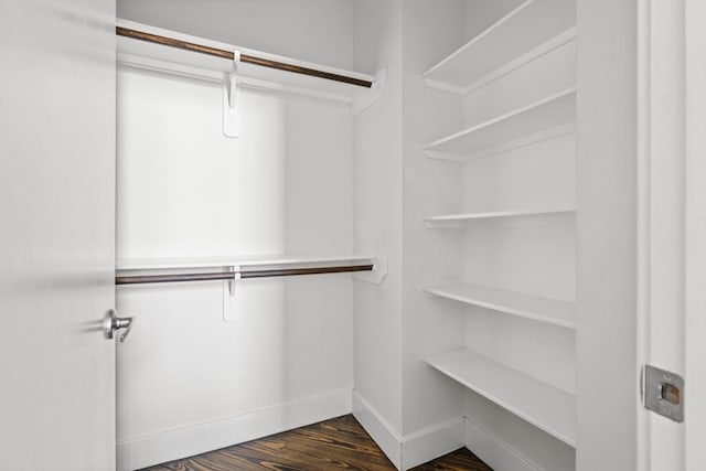 walk in closet with dark hardwood / wood-style floors