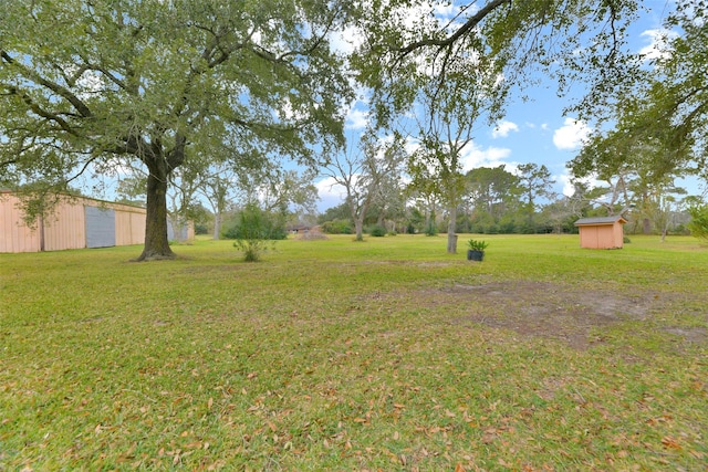 view of yard featuring a storage shed