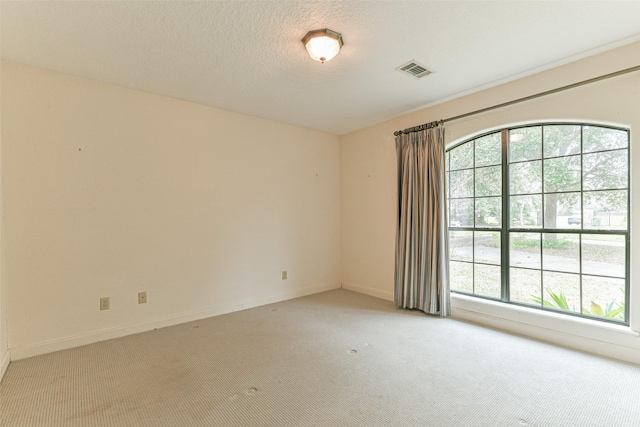 carpeted empty room with a textured ceiling and a healthy amount of sunlight