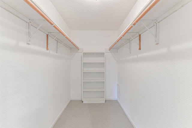 walk in closet with carpet floors