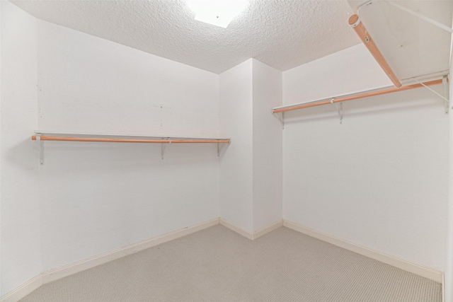 spacious closet with carpet flooring