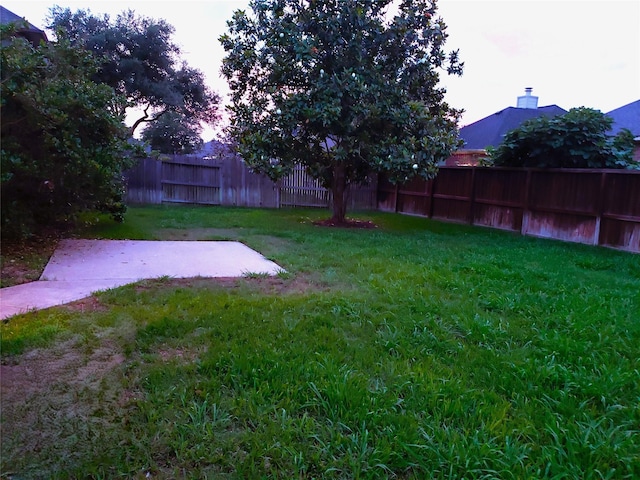 view of yard with a patio area