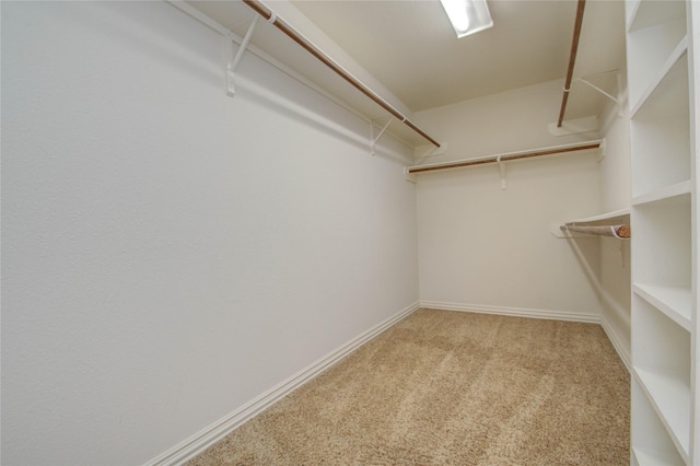 walk in closet featuring light colored carpet