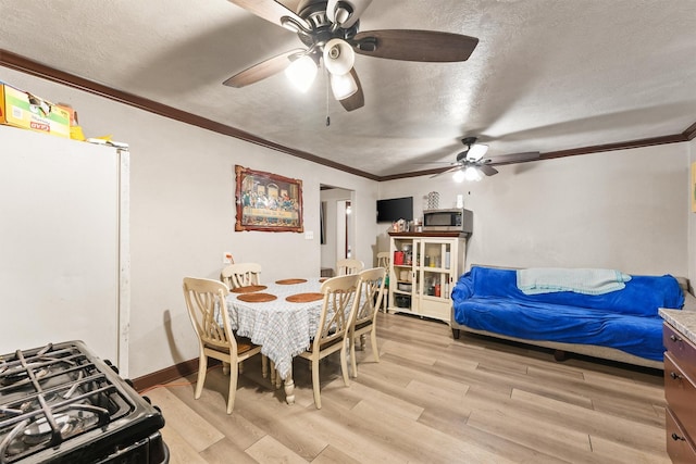 dining area with ceiling fan, crown molding, a textured ceiling, and light hardwood / wood-style flooring