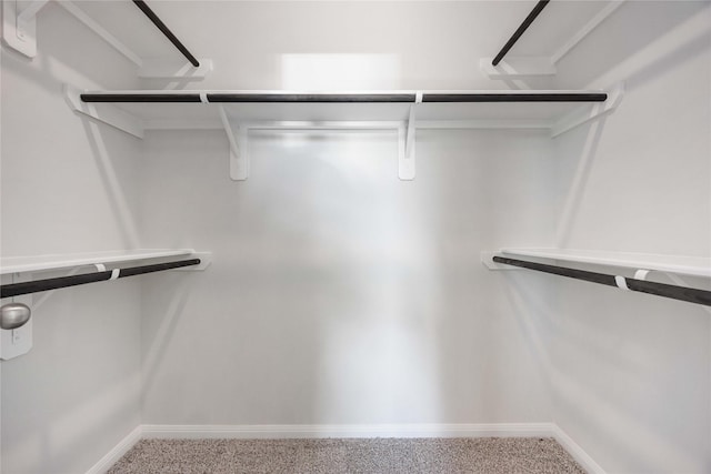 spacious closet with carpet floors