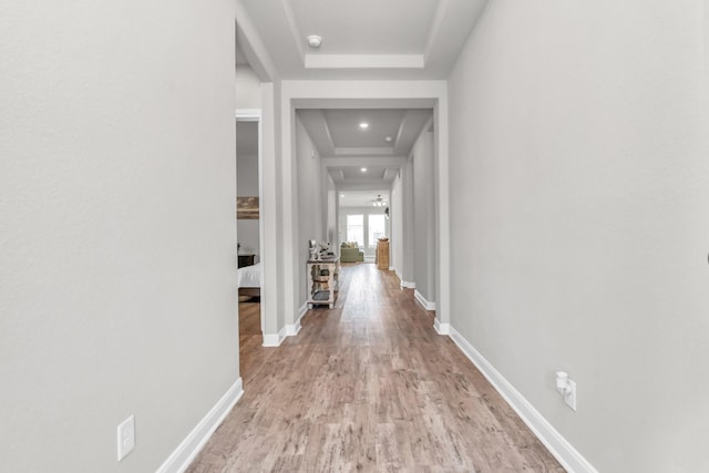 hall with light hardwood / wood-style flooring and a tray ceiling