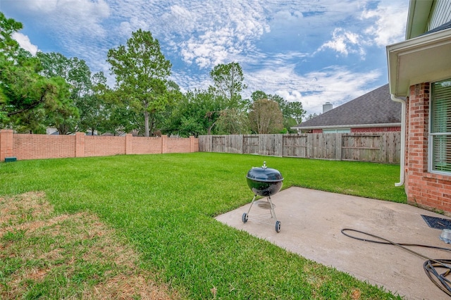 view of yard featuring a patio area