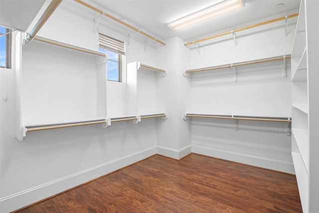 walk in closet with dark hardwood / wood-style floors