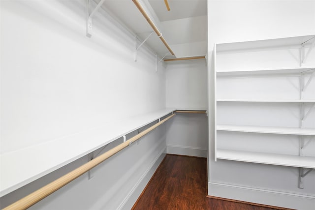 walk in closet featuring dark hardwood / wood-style floors