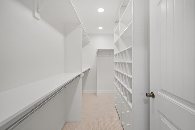 spacious closet with light carpet