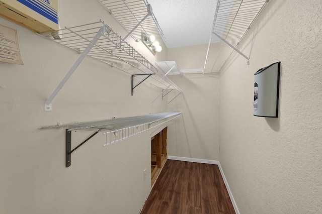 spacious closet featuring dark hardwood / wood-style floors