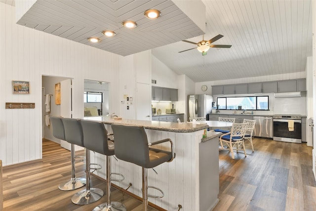 kitchen featuring a wealth of natural light, dark hardwood / wood-style floors, gray cabinetry, and stainless steel appliances