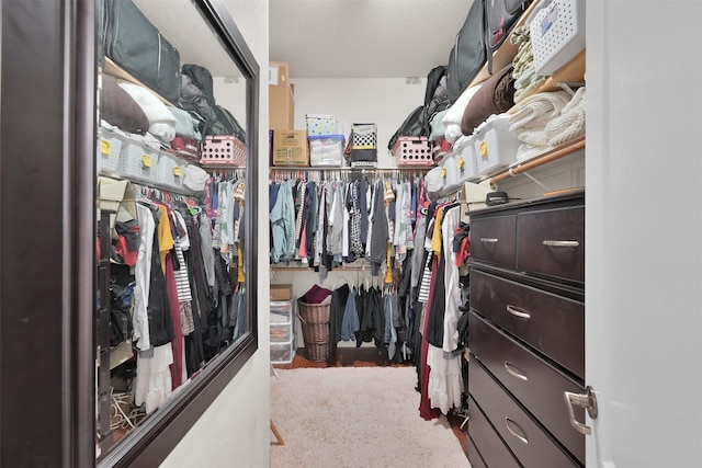 spacious closet featuring carpet floors