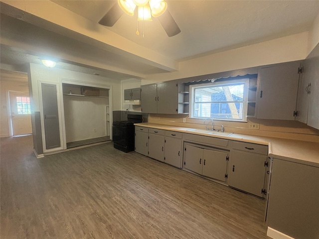 kitchen featuring ceiling fan, black stove, wood-type flooring, and sink