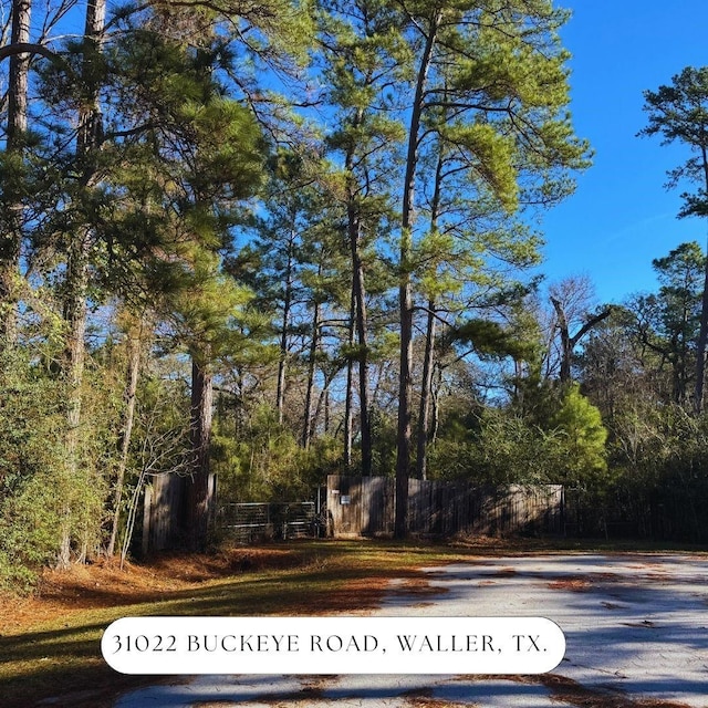 31022 Buckeye Rd, Waller TX, 77484 land for sale