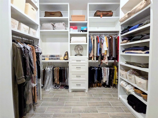 view of walk in closet