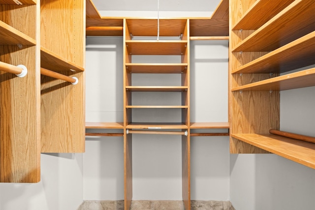 view of spacious closet