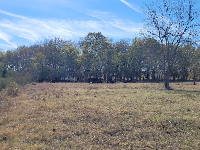 Listing photo 3 for TBD3 Caney Creek Rd, Chappell Hill TX 77426