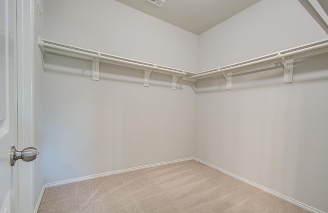 spacious closet with carpet flooring