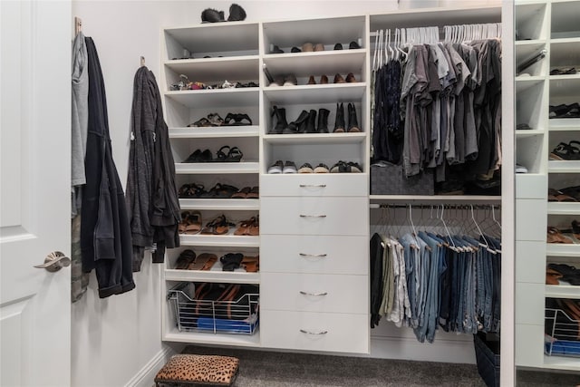 view of closet