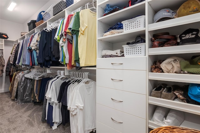 walk in closet featuring carpet