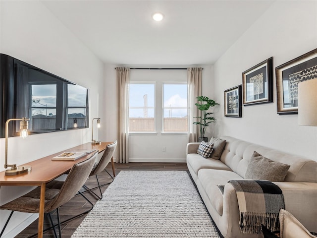 living room featuring wood-type flooring