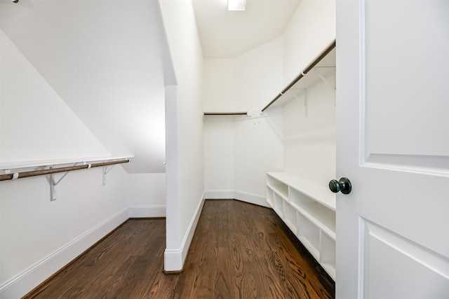 spacious closet with dark hardwood / wood-style flooring