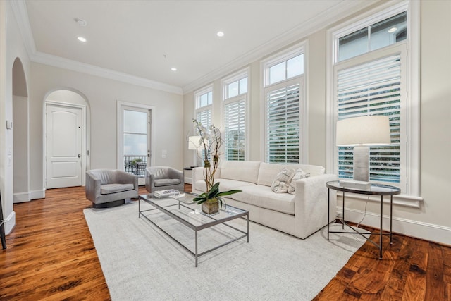 living room with wood-type flooring and crown molding