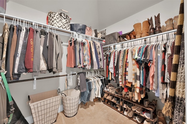 walk in closet with carpet flooring