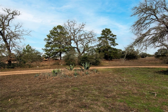 view of yard featuring a rural view