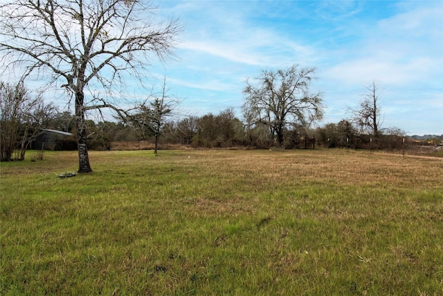 view of yard with a rural view