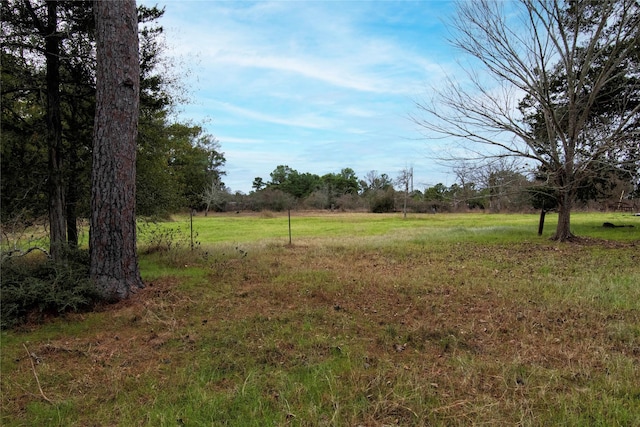 view of yard featuring a rural view