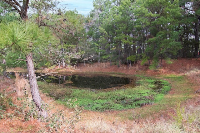 view of landscape featuring a water view