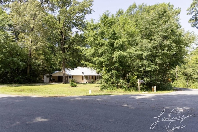 ranch-style home with a front yard