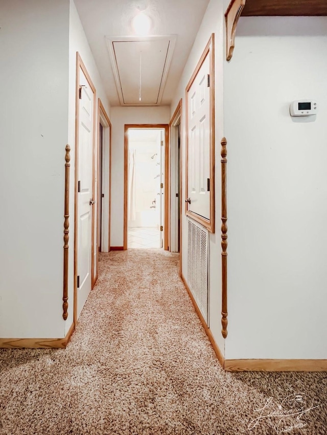 hallway with carpet