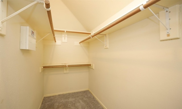 walk in closet with carpet flooring