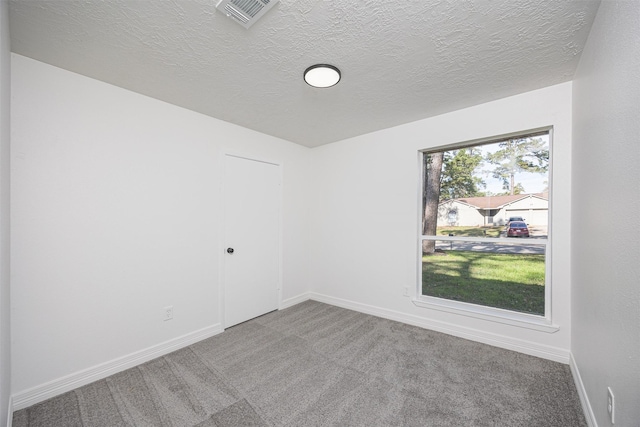 carpeted spare room with a textured ceiling and a wealth of natural light