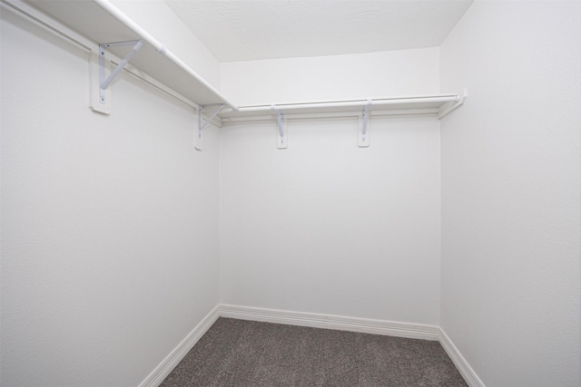 spacious closet with carpet flooring