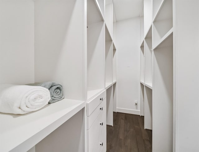 walk in closet featuring dark wood-type flooring