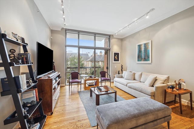 living room with light hardwood / wood-style flooring and track lighting