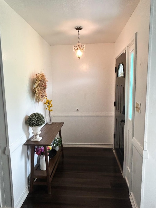 foyer entrance with dark hardwood / wood-style flooring