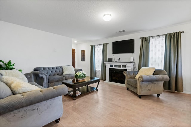 living room with light hardwood / wood-style flooring