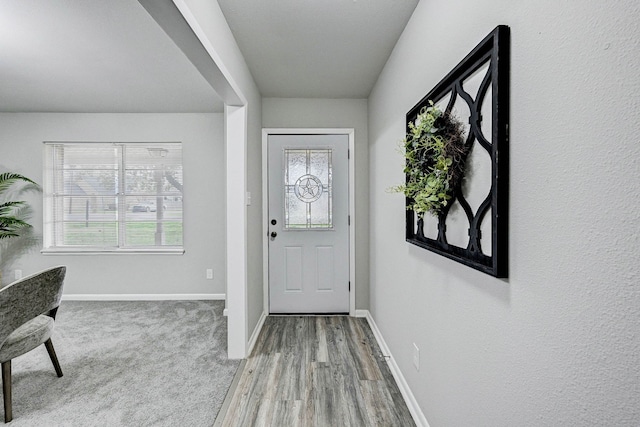 entrance foyer featuring wood-type flooring