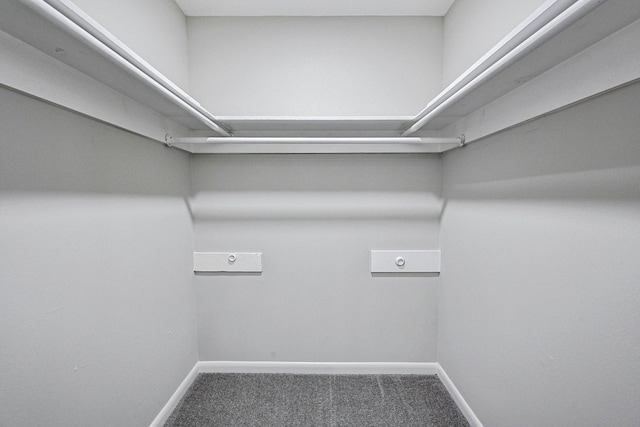 spacious closet with carpet floors