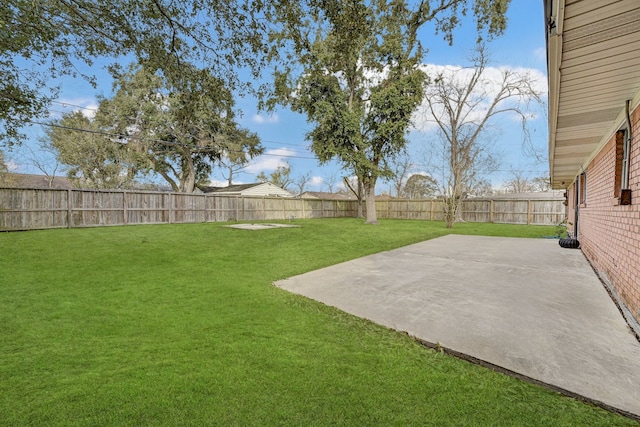 view of yard featuring a patio area